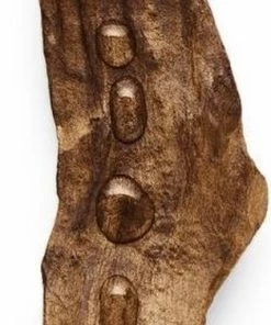 Giorgio Armani Si Intense 30 Ml - Eau De Parfum - Damesparfum 17 Giorgio Armani Si Intense 30 Ml - Eau De Parfum - Damesparfum -Chanel Shop 314x840 1