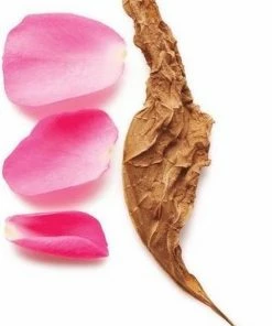 Giorgio Armani Si Intense 30 Ml - Eau De Parfum - Damesparfum 16 Giorgio Armani Si Intense 30 Ml - Eau De Parfum - Damesparfum -Chanel Shop 506x840 1