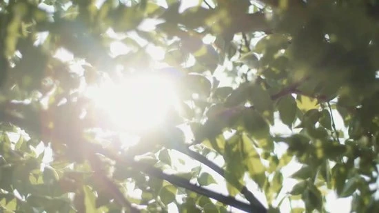 GUAP?? GUAP Acryl Nagels Dip Poeder Starterskit | Dip Powder | Dipping Acryl Poeder | Acryl Nagels Starterspakket | Make A Wish #037 4 GUAP?? GUAP Acryl Nagels Dip Poeder Starterskit | Dip Powder | Dipping Acryl Poeder | Acryl Nagels Starterspakket | Make A Wish #037 - Afbeelding 2