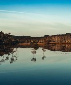 Australian Bodycare Gezichtscrème 100ml - Vochtinbrengende Gezichtscrème Perfect Voor Vlekjes, Puistjes, En Een Vette, Acne-gevoelige Huid. Met 100% Pure Tea Tree Olie Van Hoge Kwaliteit (goedgekeurd Door Farmaceuten) -Chanel Shop 550x366 26