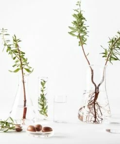 Garnier Skinactive Face Voedende Mist Rijke Argan Dagcrème - 150 Ml -Chanel Shop 550x527 2